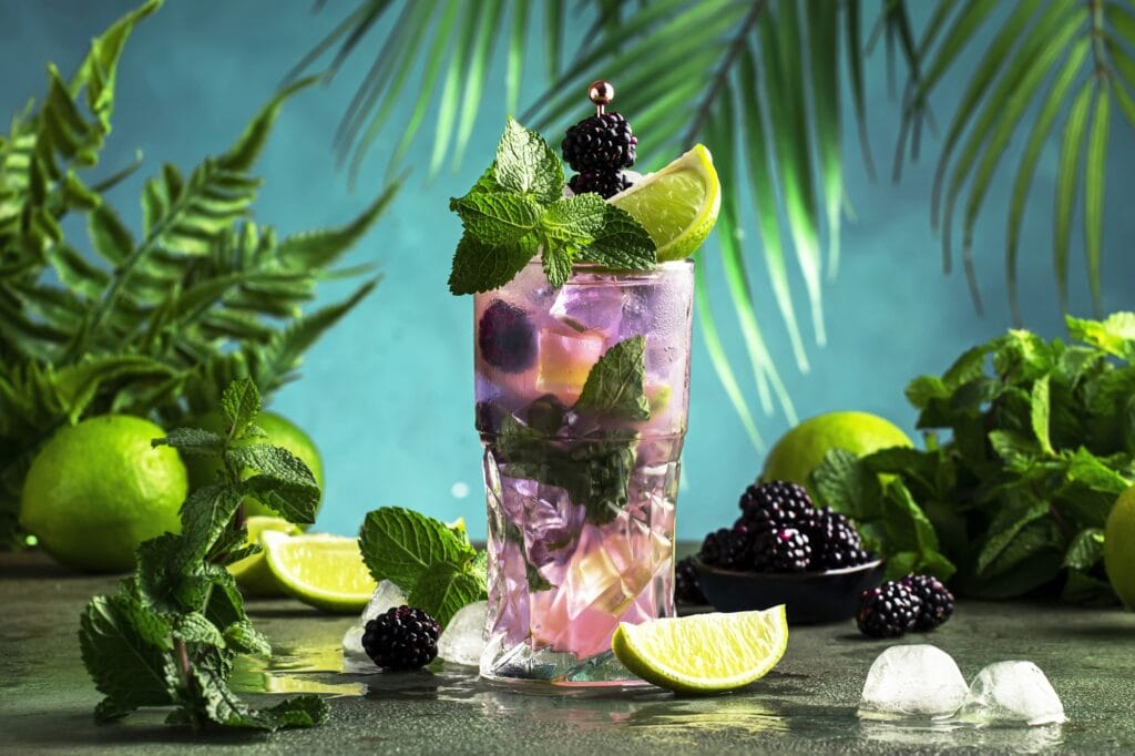 A refreshing blackberry mojito cocktail with white rum, soda, lime, and mint, garnished with fresh blackberries.